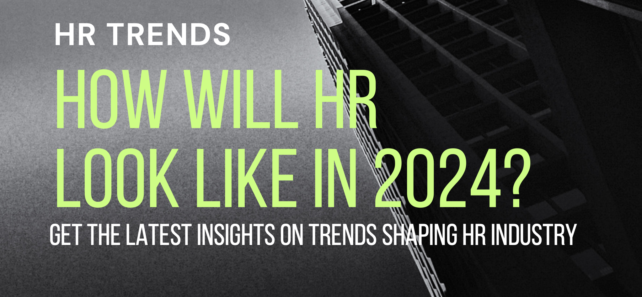 Raport: Jak będzie wyglądał HR w roku 2024?